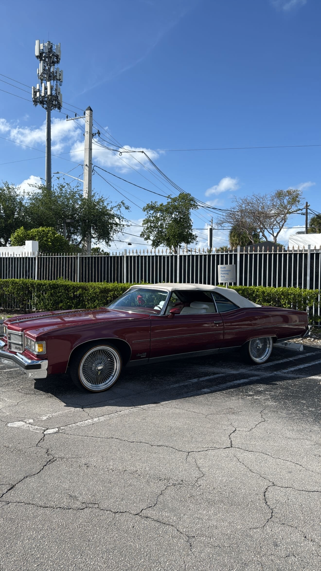 Bertha on a Miami street, late afternoon, urban placement.